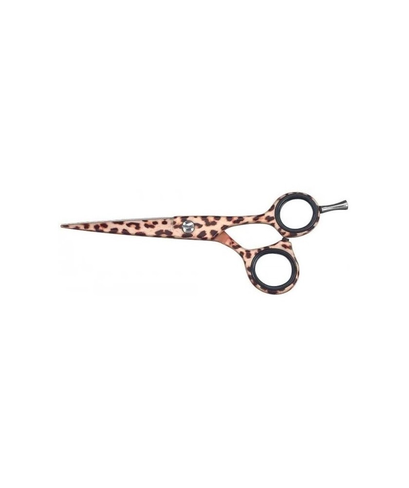  SCHAAR 5,5 LEOPARD 